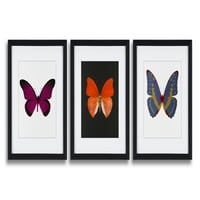 Butterfly Wall Art Modern Contemporary Picture With Black Frame and Mat Panels 11x Canvas Print Painting Модерни произведения на изкуството за домашен декор